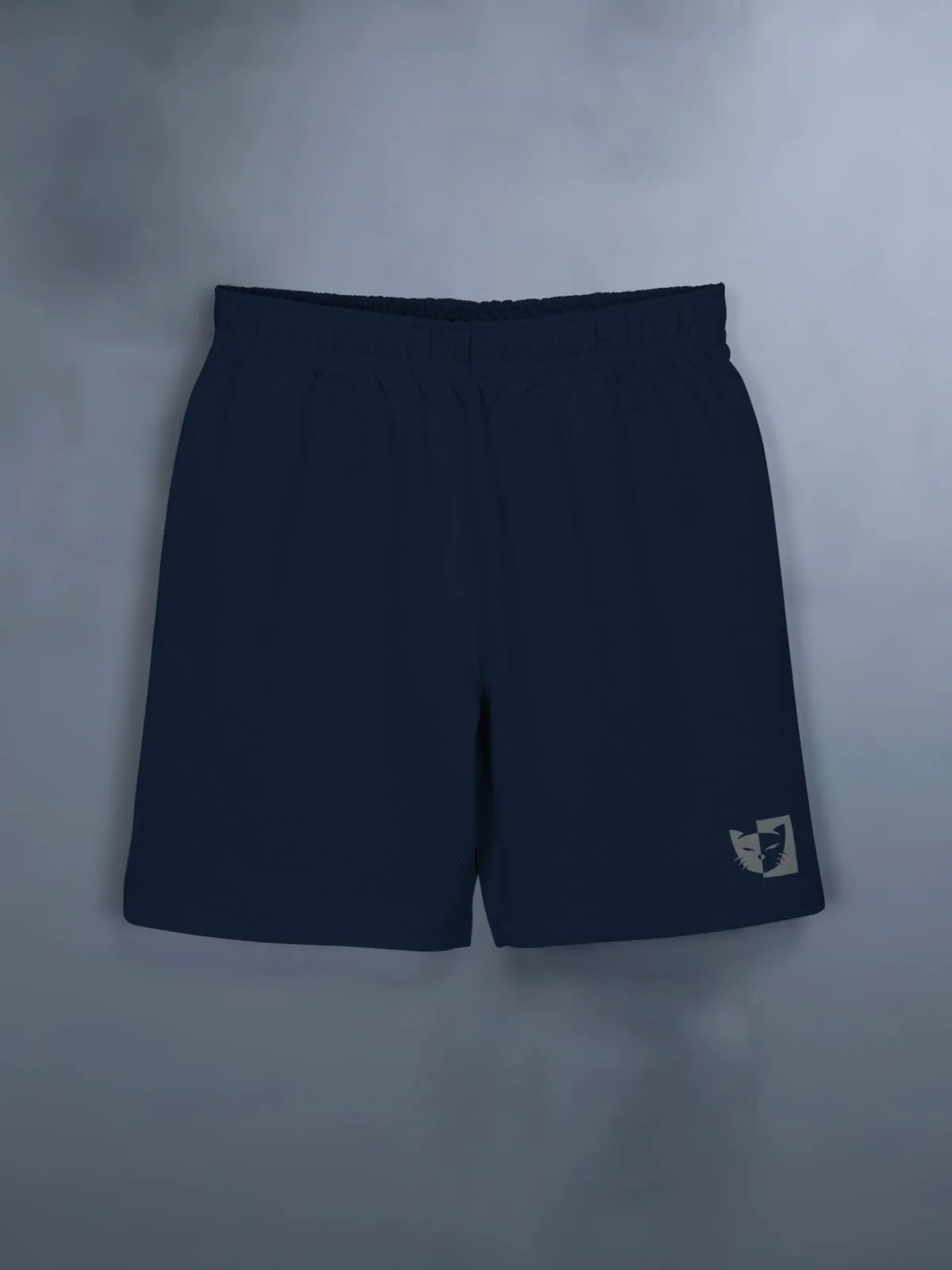 Boys Dress Clothing Set Combo with Tshirts & Shorts - Pack 3