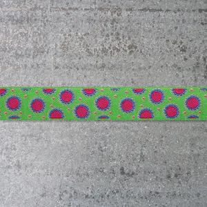 Jane Sassaman Ribbon : Dotty Dots - Green / Hot Pink