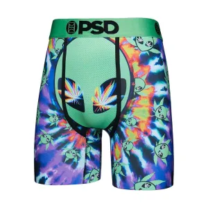 PSD Men's Multicolor Money Print Boxer Briefs Large Underwear - 424180050-MUL-L