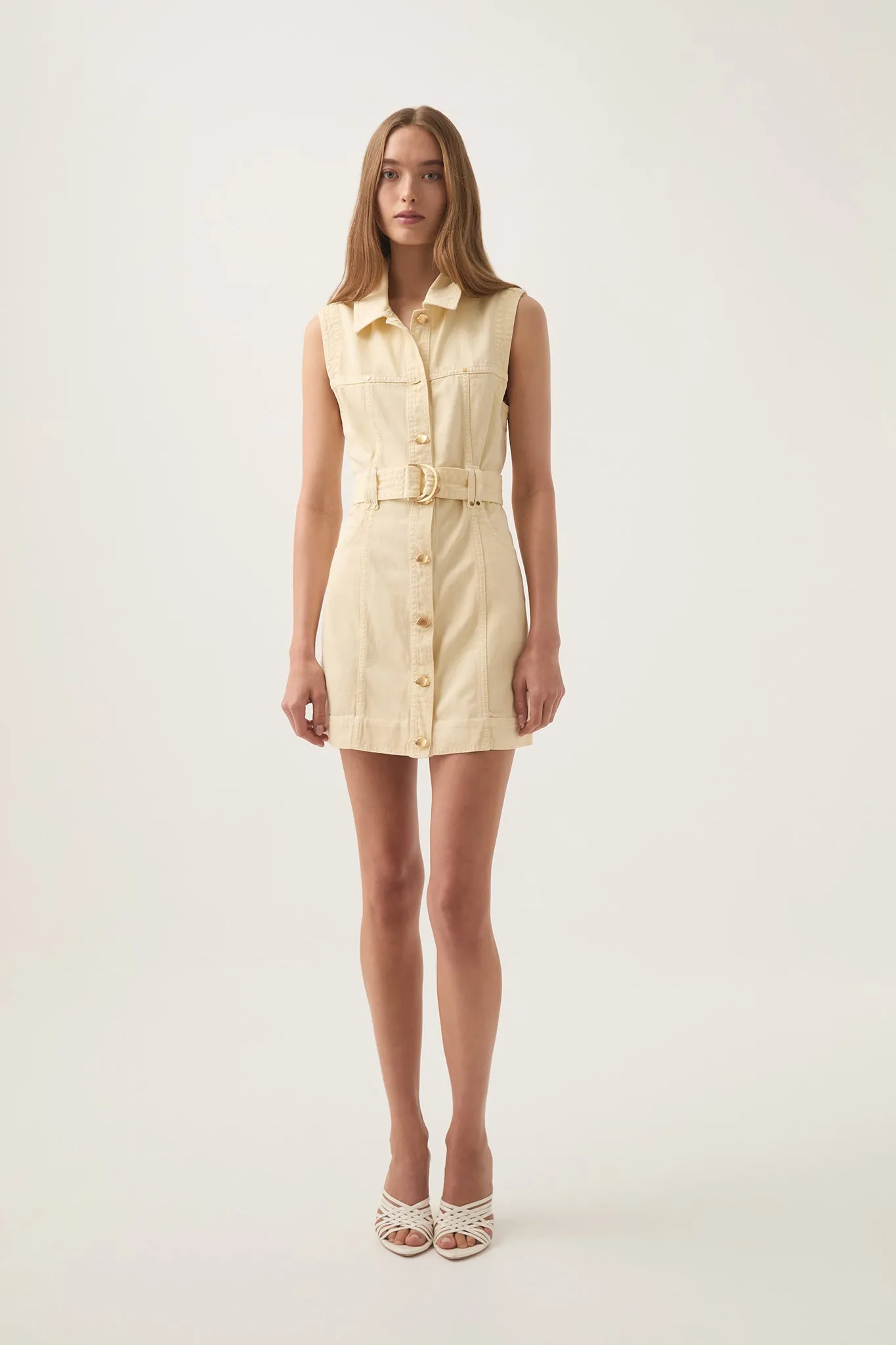 Ray Denim Mini Dress