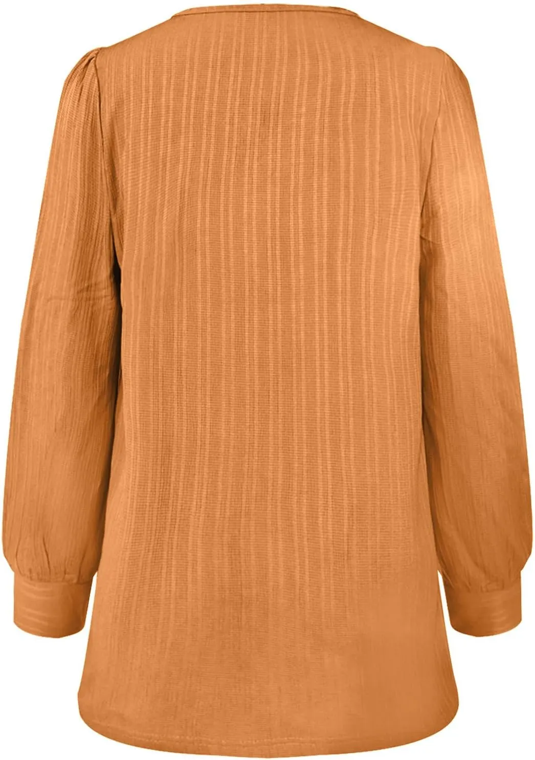 Womens Casual V Neck Tops Spring 2025 Long Sleeve Shirts Basic T Shirts Lightweight Loose T-Shirts Solid Tee Clothes